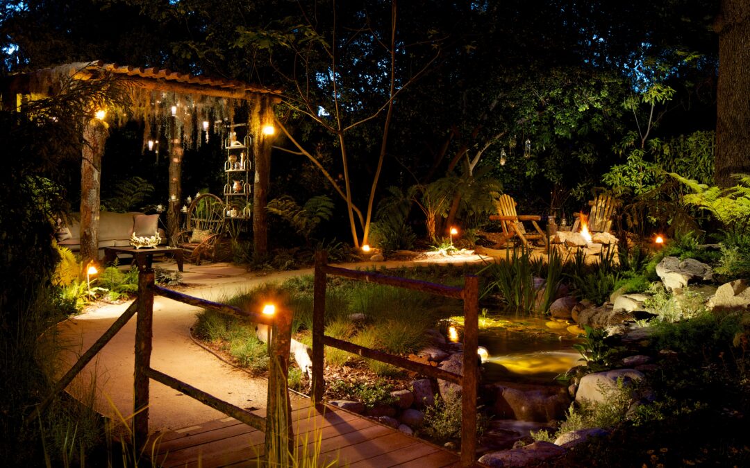 5 Facts about Biophilia